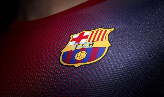 德约科维奇逆转夺冠 第24座大满贯书写传奇