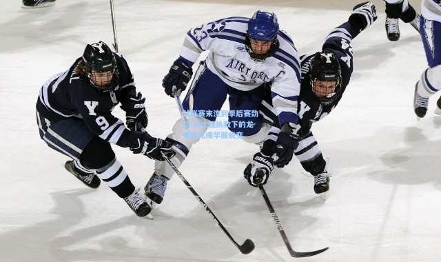 从联赛末流到季后赛劲旅 郭士强执教下的龙狮队完成华丽蜕变