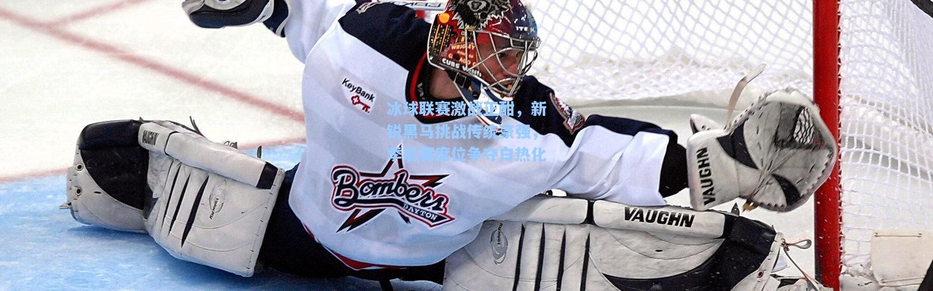 冰球联赛激战正酣，新锐黑马挑战传统豪强，季后赛席位争夺白热化